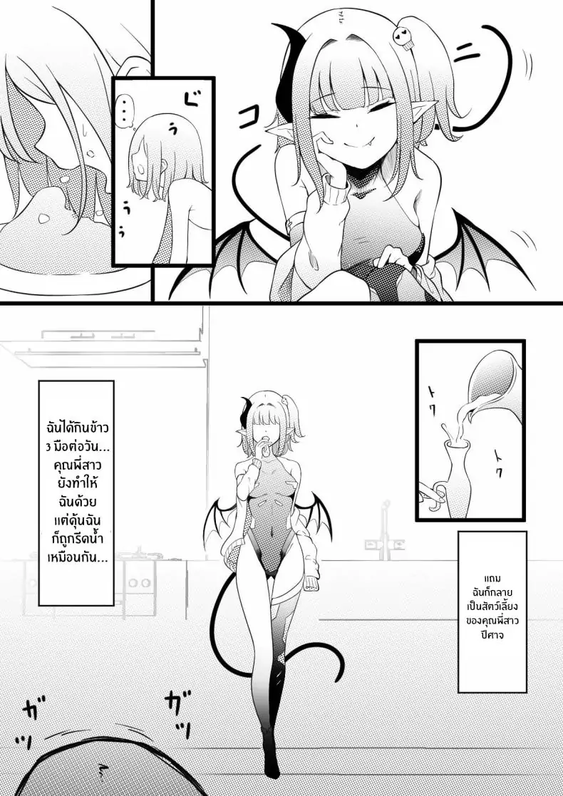 อ่านโดจิน เกิดใหม่ไปเป็นผู้เพาะพันธุ์ซัคคิวบัส [Permission (Zandoro)] Succubus Breeder ~ Kotoba no Tsuujinai Tensei Sekai de Succubus ni Kawareru Boku no Ohanashi